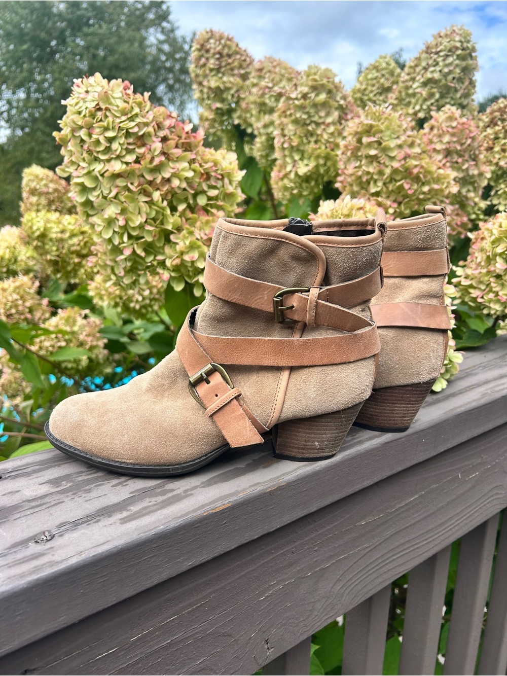 Aldo Suede Heeled Booties